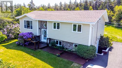 51 Birch Hill Road  Pouch Cove, NL A0A 3L0