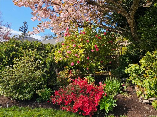 1288 Roy Rd, Saanich, BC 