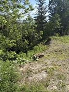 340 Milltown BLVD Saint Stephen, NB B3L 1Y1