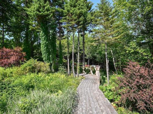 51 Back Lake, Hatchet Lake, NS 