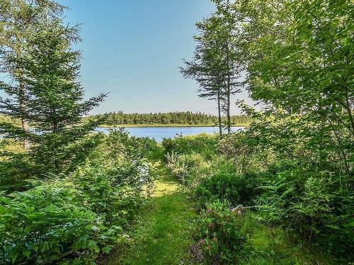 51 Back Lake, Hatchet Lake, NS 