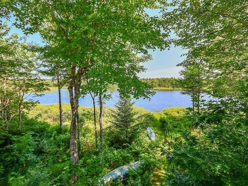 51 Back Lake, Hatchet Lake, NS 