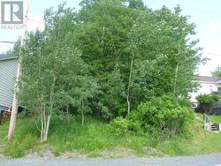 54 Marine Drive  Clarenville, NL A5A 1L3