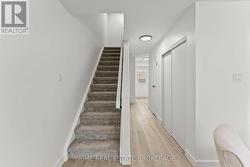 Stylish carpet on stairs - 
