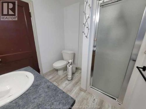 911 Langlois, Windsor, ON - Indoor Photo Showing Bathroom