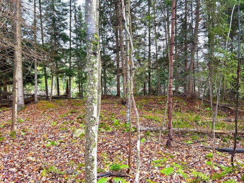 Terre à bois - 8 Ch. Thomson O., Arundel, QC 