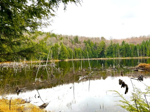 Bord de l'eau - 8 Ch. Thomson O., Arundel, QC 