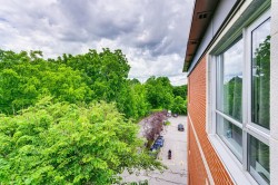 View - 