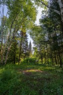 Lot - 