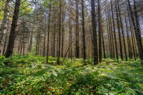 Lot - Route 311 N., Lac-Des-Écorces, QC 