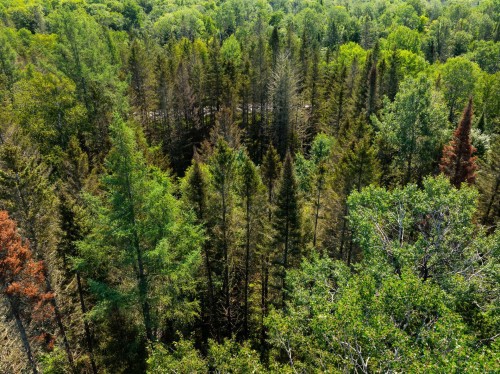 Lot - Route 311 N., Lac-Des-Écorces, QC 