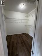 Walk-in closet featuring wood-finish flooring, white walls, wire shelving, and a ceiling-mounted light fixture - 