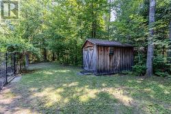 Backyard shed - 