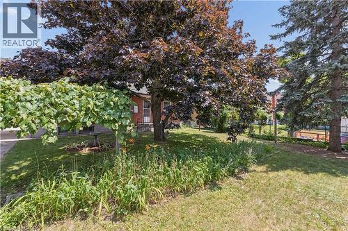 74 Ross Avenue, Kitchener, ON - Outdoor