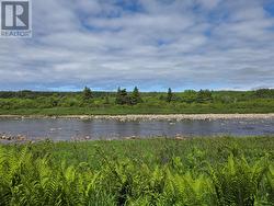 0 Crabbs River Road  St Fintans, NL A0N 1Z0