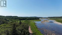 0 Crabbs River Road  St Fintans, NL A0N 1Z0