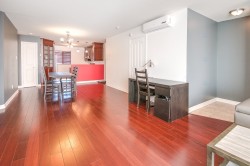Salon - 