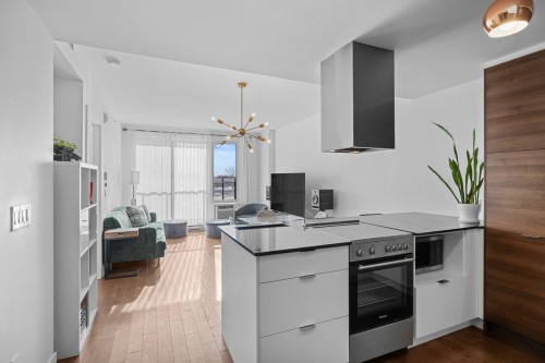 415-1375 Rue des Bassins  Montréal (Le Sud-Ouest), QC H3C 1W3