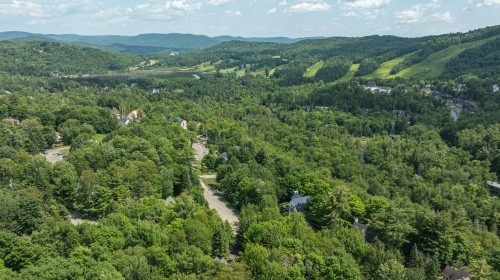 Vue d'ensemble - 3505 Rue De La Colonie, Sainte-Adèle, QC 