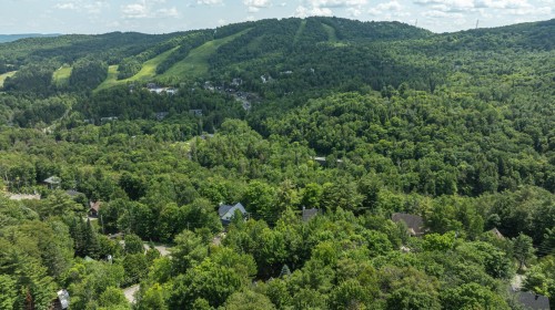 Vue d'ensemble - 3505 Rue De La Colonie, Sainte-Adèle, QC 