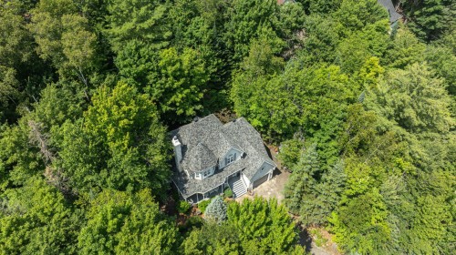 Vue d'ensemble - 3505 Rue De La Colonie, Sainte-Adèle, QC 