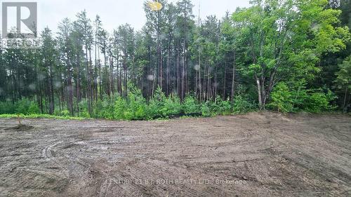 51 Ruby Ridge, Oro-Medonte, ON 
