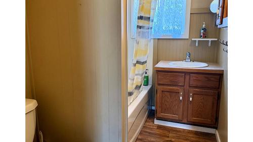 6195 & Lot 1 Cartwright Street, Wardner, BC - Indoor Photo Showing Bathroom