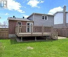 Back Yard - 