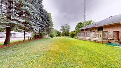 Backyard - 