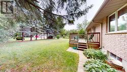 Backyard - 