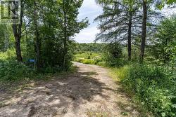 530 CLEARWATER LAKE ROAD Huntsville (Stephenson), ON P0B 1L0
