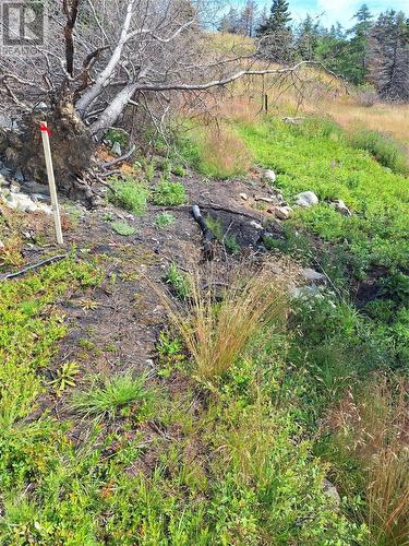 2 Old Cart Path, Blackhead, NL 