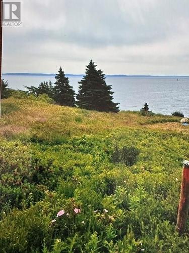 2 Old Cart Path, Blackhead, NL 