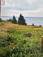 2 Old Cart Path Blackhead, NL A0A 1L0