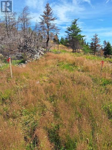 2 Old Cart Path, Blackhead, NL 