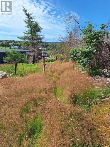 2 Old Cart Path, Blackhead, NL 