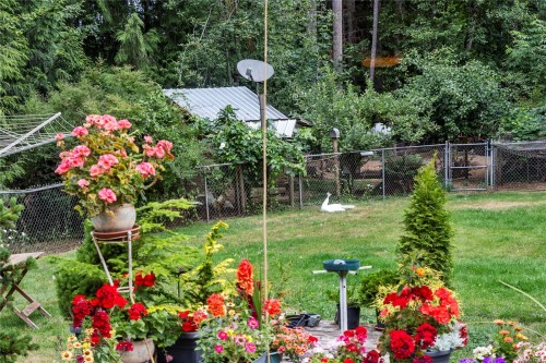 3198 Melon Rd, Hilliers, BC 