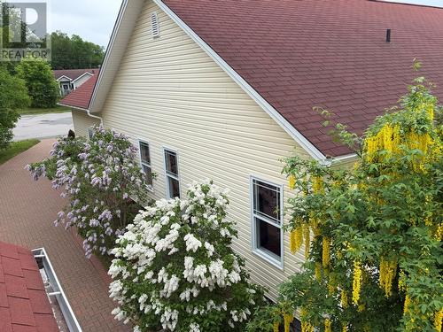 8 Lakeview Place, Appleton, NL 