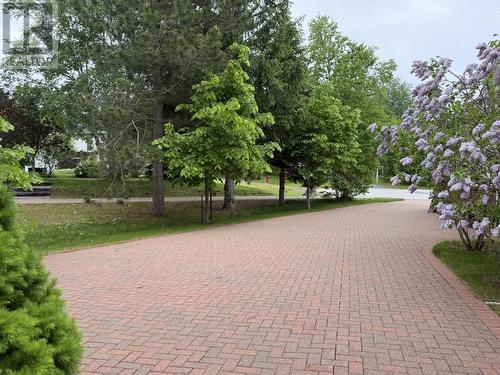 8 Lakeview Place, Appleton, NL 