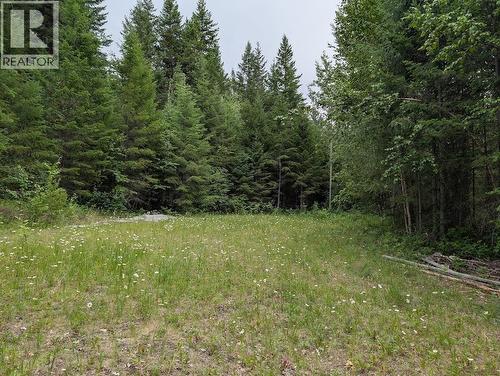 13 Collins Road, Williams Lake, BC 