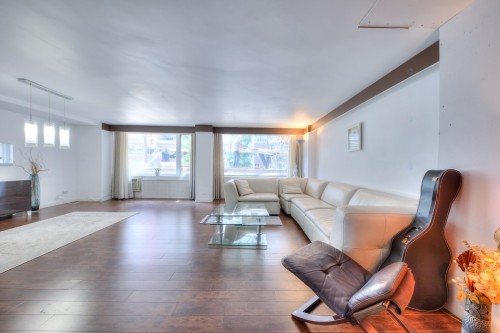 Salon - 101-3445 Rue Drummond, Montréal (Ville-Marie), QC - Indoor Photo Showing Living Room