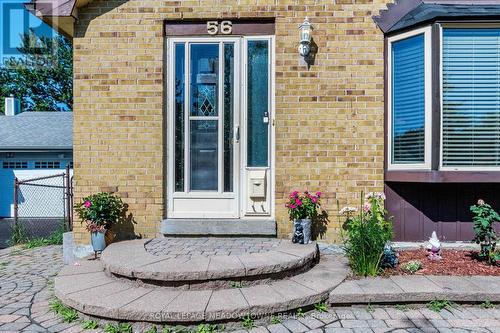 56 Sutter Avenue, Brampton, ON 