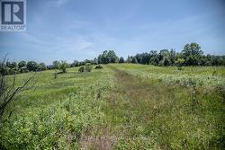 PT 1 BOYCE ROAD Alnwick/Haldimand, ON K0K 1S0