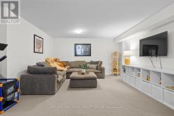 Basement Rec Room - 