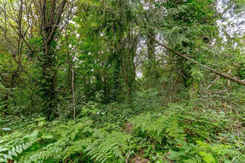 883 Lampson St, Esquimalt, BC 