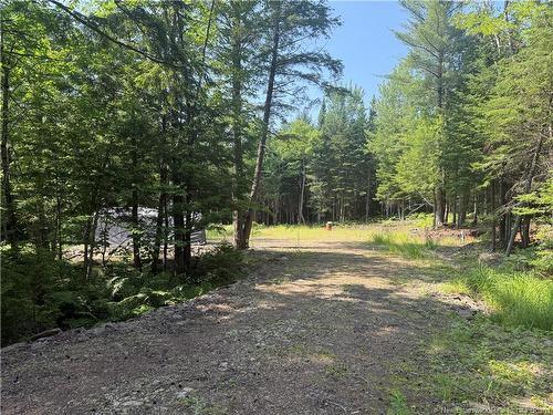 306 Bridge St, Minto, NB 