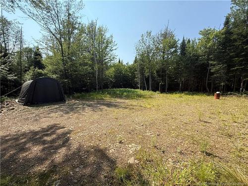 306 Bridge St, Minto, NB 