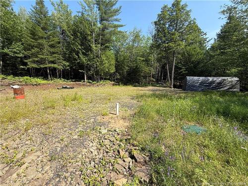 306 Bridge St, Minto, NB 