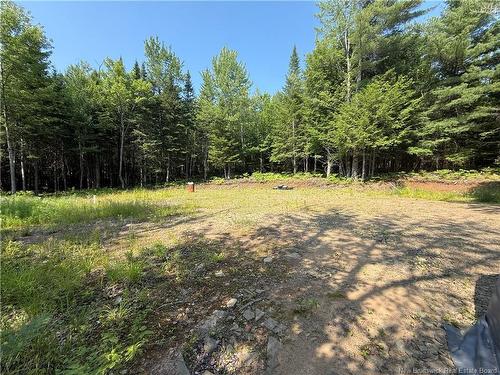 306 Bridge St, Minto, NB 