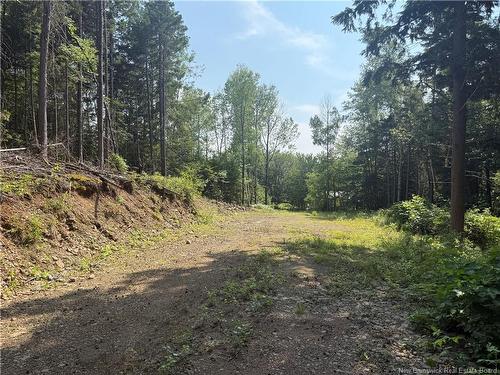 306 Bridge St, Minto, NB 